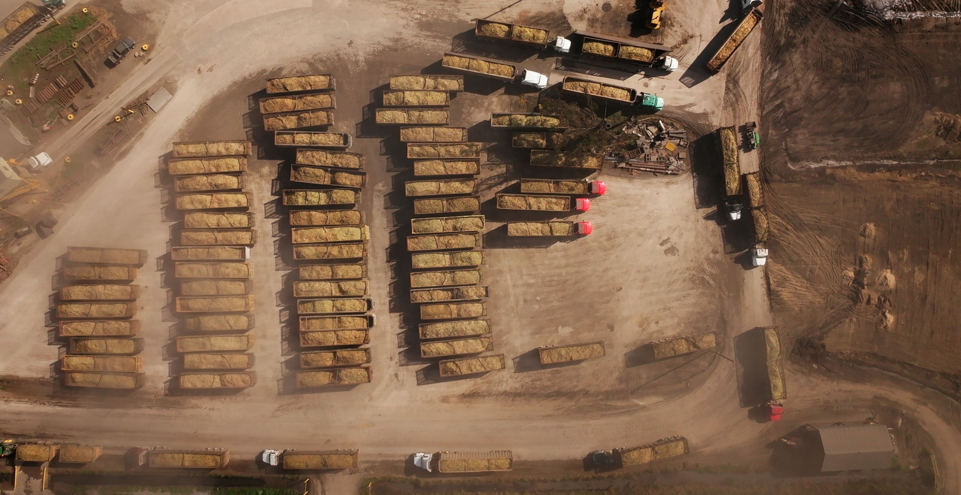 LA.IO — The Future Flows Through Louisiana